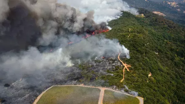 Smoke rises near a vineyard as a wildfire burns in the hills north east of Napa in October. Photo: Michael Short / Associated Press