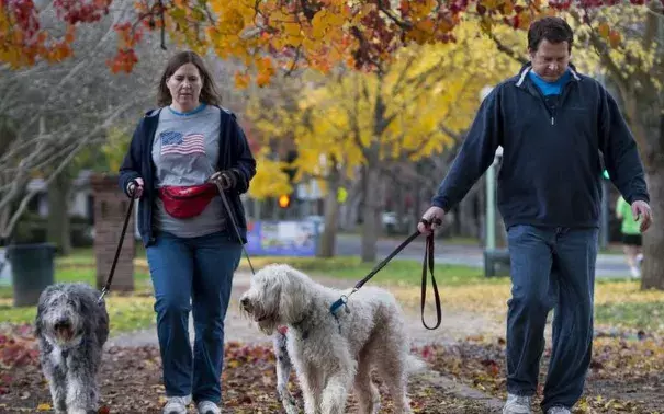 Amy and Reed Borchers of Carmichael walked their dogs in McKinley Park Sunday, saying they had “cabin fever” after the past few days of rain. Photo: Lezlie Sterling
