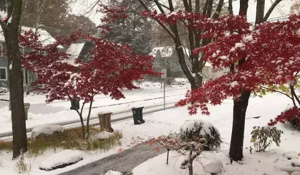 Madison, Wisconsin, lies buried under 5” of snow on Friday, November 1, following a 5.1” accumulation on October 31. Credit: Courtesy Madison 