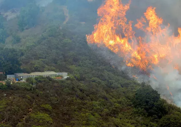 Smoke from the Soberanes Creek fire has so far avoided vineyards. Photo: Mercury News