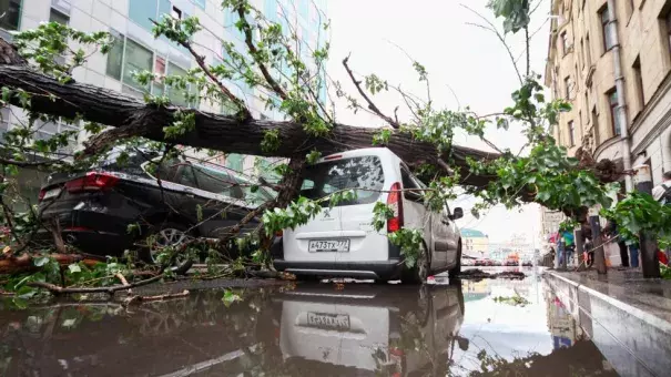 Vehicles are covered with a fallen tree following a storm, in a residential area of Moscow, Russia. Thunderstorms and strong winds buffeted Moscow and its surrounding areas on Monday. Photo: Sergey Vedyashkin, Moscow News Agency photo via AP