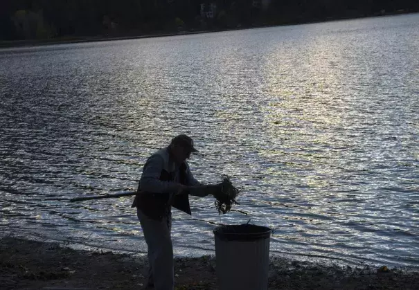 Ralph Sherrill works to clean up debris on the exposed shoreline near the Liberty Lake, Wash., home he shares with his wife, Sandra, on Wednesday, Nov. 11, 2015. The lake recently reported its second lowest level since 1951. (Tyler Tjomsland)