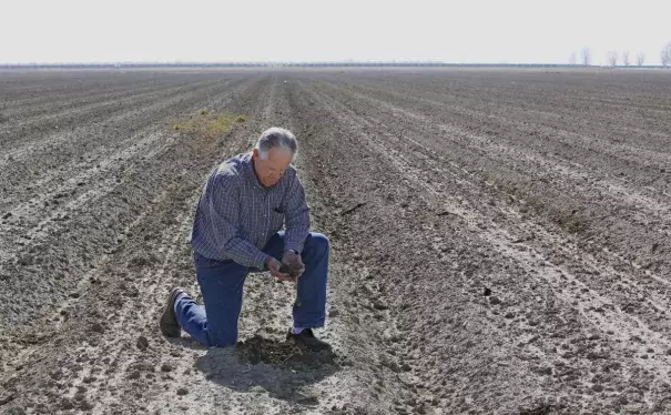 In this Feb. 25, 2016, photo, Mike Stearns, chairman of the San Luis & Delta-Mendota Water Authority, checks the soil moisture on land he manages near Firebaugh. Photo: Rich Pedroncelli, AP