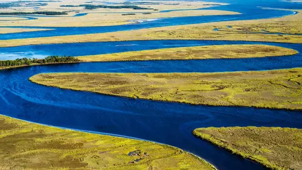 ACE Basin, St Helena Sound, South Carolina. Info. Photo: J. Henry Fair