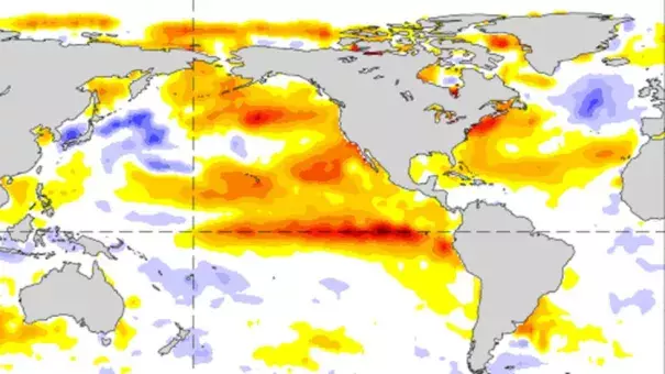 This sea surface temperature anomaly graphic shows both the blob and El Nino as they were in September of 2015. Photo: NOAA