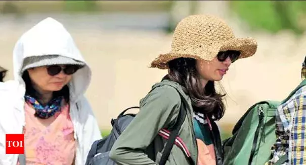 Tourists protect themselves from the heat. Photo: Times of India