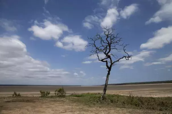 Lake St Lucia is almost completely dry due to drought conditions in the iSimangaliso Wetland Park, northeast of Durban, South Africa February 25, 2016. Photo: Rogan Ward, Reuters
