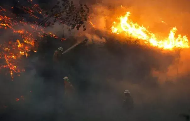 Firefighters work to put out a forest fire near the village of Fato, central Portugal, June 18, 2017. Photo: Rafael Marchante, Reuters