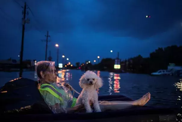 A rescue helicopter hovers in the background as an elderly woman and her poodle use an air mattress to float above flood waters from Tropical Storm Harvey while waiting to be rescued from Scarsdale Boulevard in Houston, Texas, U.S. August 27, 2017. Photo: Adrees Latif