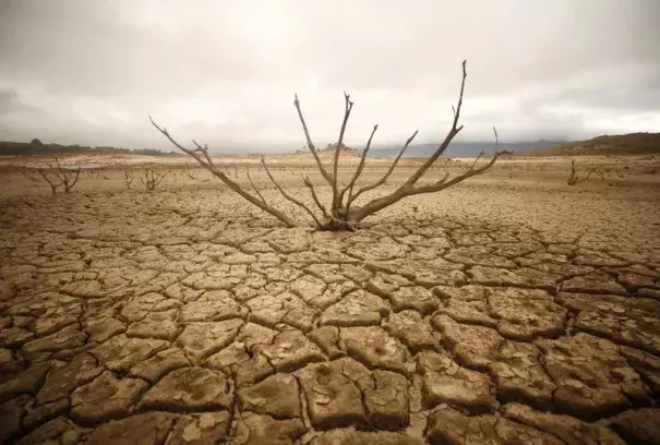 Dried out branches are seem amongst caked mud at Theewaterskloof dam near Cape Town, South Africa, January 20, 2018. Photo: Mike Hutchings, Reuters