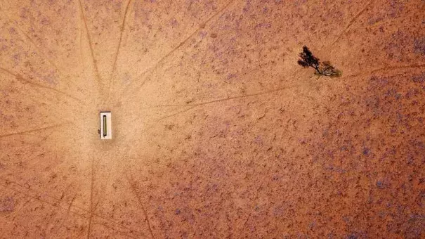 A lone tree stands near a water trough in a drought-effected paddock located on the outskirts of the town of Walgett, in New South Wales, Australia, July 20, 2018. Photo: David Gray, Reuters