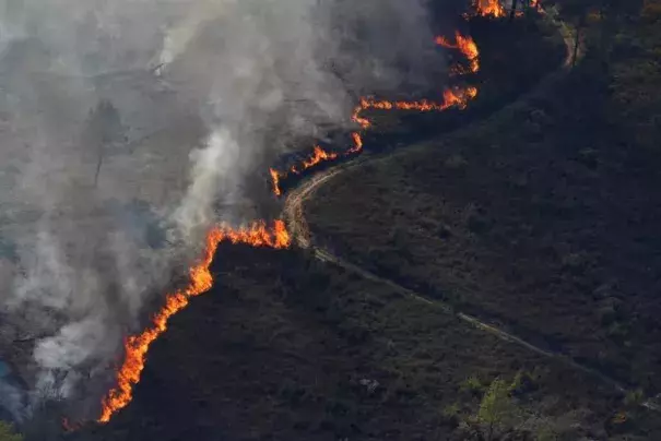 Flames of an approaching forest fire are seen near the small village of Gondomil, near Valenca, Portugal March 27, 2019. Photo: Rafael Marchante, Reuters