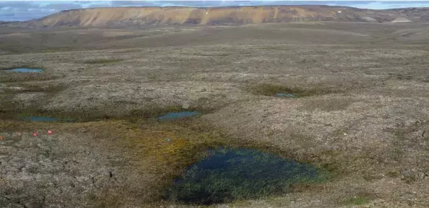 General view of a landscape of partially thawed Arctic permafrost near Mould Bay, Canada, in this handout photo released June 18, 2019. The image was captured in 2016 by researchers from the University of Alaska Fairbanks who were amazed to find the permafrost thawing 70 years faster than models predicted. Photo: Louise Farquharson/Handout, Reuters