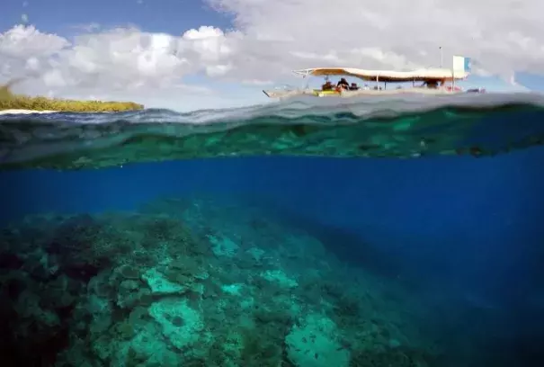 A tourist boat floats above an area called the 'Coral Gardens' located off Lady Elliot Island and north-east from the town of Bundaberg in Queensland, Australia, in this June 11, 2015 file photo. Photo: David Gray, Reuters