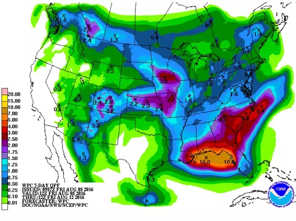 Predicted precipitation for the 7-day period ending Friday, August 12, 2016. Rainfall amounts in excess of five inches (bright orange colors) are expected along a stretch of the Gulf Coast from New Orleans, Louisiana to Tampa, Florida. Image: National Weather Service