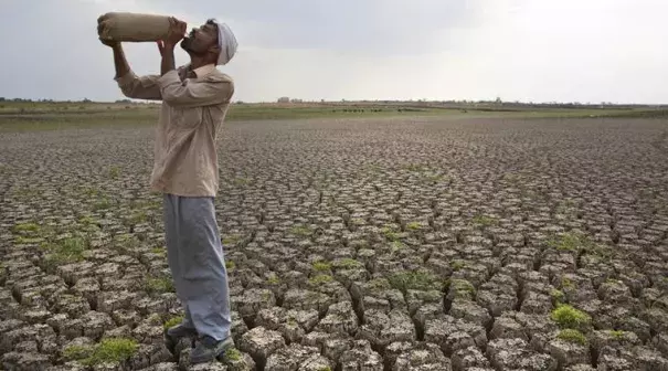 In this May 10, 2016, file photo, a Shepard drinks water on the dry bed of Manjara Dam, which supplies water to Latur and nearby villages in Marathwada region, in the Indian state of Maharashtra. Photo: Manish Swarup, AP