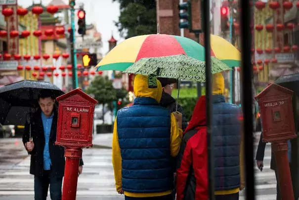 Pedestrians carry umbrellas while walking in the rain in downtown San Francisco on Friday, Feb. 8, 2019. Photo: David Paul Morris, special to the San Francisco Chronicle