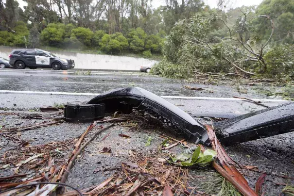 A eucalyptus tree fell across the southbound exit ramp at Highway 13 and Redwood Rd., Saturday, Jan. 7, 2017 in Oakland, CA. Photo: Eric Kayne, Special To The Chronicle