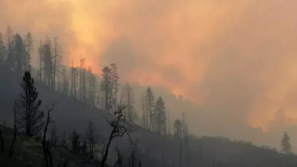 The Rough fire is the largest active fire in California, the majority of which is burning the the Sierra National Forest and Sequoia National Forest. (US Forest Service Handout / EPA)