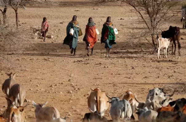 Turkana women carry canisters to get water from a borehole near Baragoy, Kenya February 14, 2017. Photo: Goran Tomasevic, Reuters