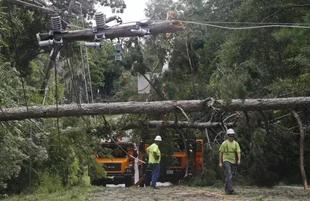 Workers remove downed trees during cleanup operations in the aftermath of Hurricane Hermine in Tallahassee, Florida September 2, 2016. Photo: Phil Sears, Reuters