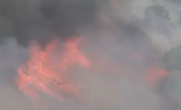 Sawmill Fire Burns Vegetation on Sunday, September 25, 2016. Photo: KTVU