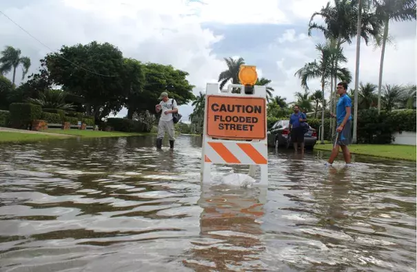 One Hollywood neighborhood floods with the king tide. Photo: Jess Swanson