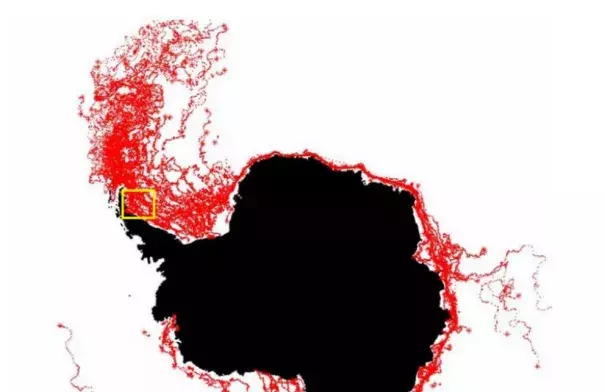 The paths of all icebergs observed by ESA from 1999-2010. The yellow box shows where the Larsen C iceberg will start its journey. Image: ESA