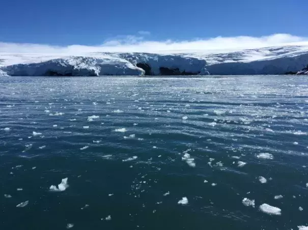 Sea ice cover in Antarctica has dropped to its second-lowest on record, Australian authorities say, adding that it is not yet clear what is driving the reduction after several years of record-highs. Photo: Phys.org