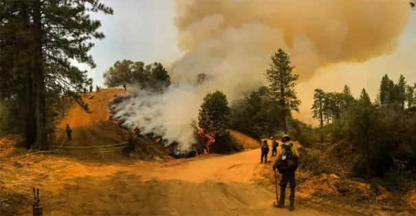 Soberanes Fire. Photo: Cal Fire