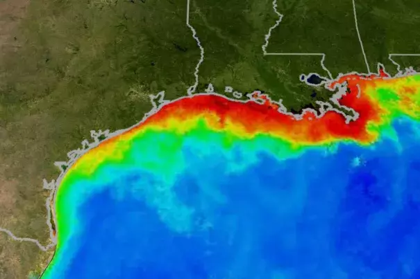 This image of the Gulf of Mexico in the summer was created by the Moderate Resolution Imaging Spectroradiometer (MODIS) instrument on NASA's Aqua satellite. Reds and oranges represent high concentrations of phytoplankton and river sediment. Photo: NASA