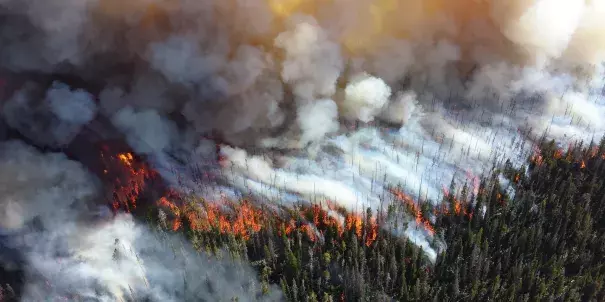 The Alder Fire burns in Yellowstone National Park in 2013. Image: Mike Lewelling / National Park Service