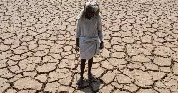 An Indian farmer poses in his dried up cotton field at Chandampet Mandal in Nalgonda east of Hyderabad on April 25, 2016, in the southern Indian state of Telangana. Photo: AFP