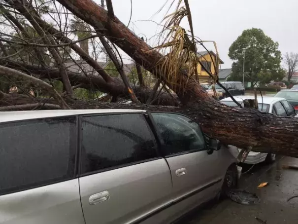 Photo: Mike Luery, KCRA