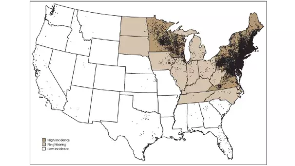 Average annual Lyme cases from 2008-2015, by county. Each dot represents one confirmed case. Image: CDC