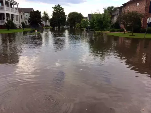 Vicksburg and Polk Streets in Lakeview. Photo: WGNO Web Desk