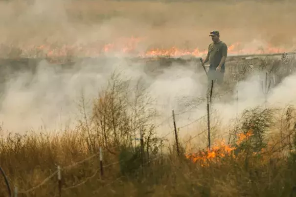 Ken Maple helps put out a grass fire that spread from a neighbor’s property northwest of Omak on Aug. 20. Photo: Bettina Hansen, The Seattle Times