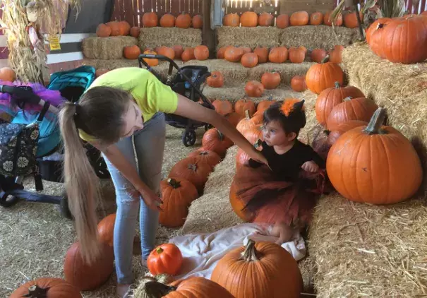 Shirley Pina straightens the outfit of her 9-month-old daught, Ivanna Lugo, for a photo at the Tolmachoff Farms pumpkin patch on Wednesday, Oct. 26, 2016 in Glendale, Arizona. Photo: Terry Tang, AP