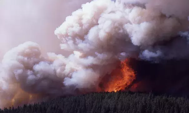 The south gate of Yellowstone National Park was closed last Sunday due to wildfires. Authorities also ordered the evacuation of some employees for their safety. Pictured above is a the Clover Mist fire racing north across the Mirror Plateau during a firestorm in Yellowstone in 1988. Photo: Jim Peaco, Wikimedia Commons