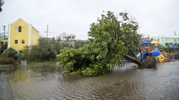 An overturned tree lays on the flooded playground in Mullet Bay, St. Georges, Bermuda, Thursday, Oct. 13, 2016. Hurricane Nicole roared across Bermuda, pummeling the resort island with winds up to 115 mph that snapped trees and peeled off roofs before the storm spun away into open water. Photo: Mark Tatem, AP