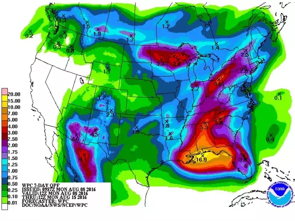 Total rainfall projected by NOAA’s Weather Prediction Center for the 7-day period from 8:00 am EDT Monday, August 8, 2016, to 8:00 am EDT Monday, August 15. Some localized amounts could exceed these projections by a considerable margin. Image: NOAA/NWS/WPC
