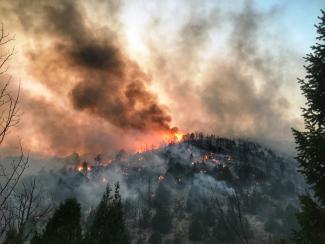western wildfire season