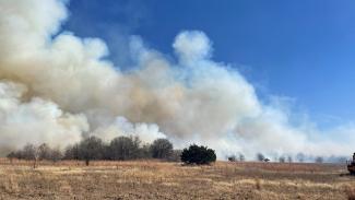 Fires in Eastland County, dubbed the Eastland Complex by state officials, include seven wildfires, totaling an estimated 54,134 acres as of March 20.