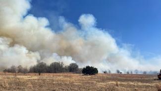 Fires in Eastland County, dubbed the Eastland Complex by state officials, include seven wildfires, totaling an estimated 54,134 acres as of March 20.