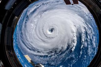 Tropical Satellite
