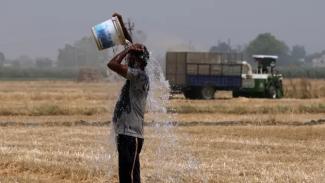 A farmer pours water on himself while working at a wheat farm in the Ludhiana district of Punjab, India, on Sunday, May 1, 2022. (Credit: T. Narayan/Bloomberg/Getty Images)