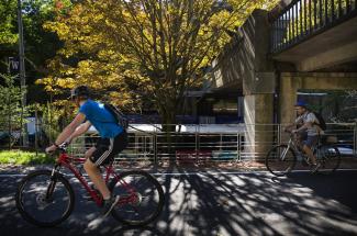Bicyclists pass by a tree starting to show the season’s changes on the Burke-Gilman Trail at the University of Washington campus on Wednesday. Photo: Lindsey Wasson / The Seattle Times