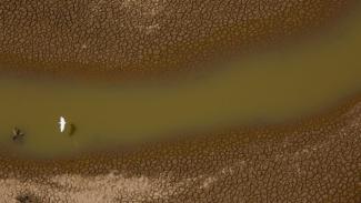 I bird is shown flying over a dry water bed.