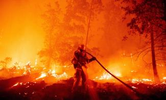 A firefighter douses flames during the Creek fire in unincorporated Madera county, California, on 7 September 2020. (Photograph Credit: Josh Edelson/AFP/Getty)