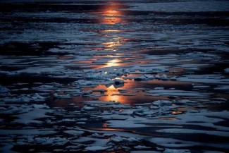 The midnight sun shines across sea ice.